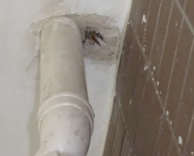 工布江达漏水检测哪家好